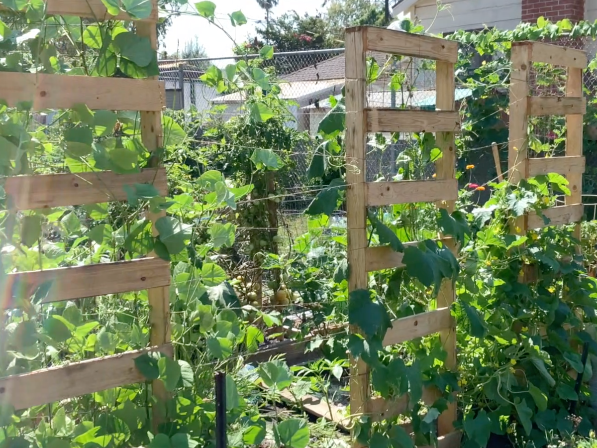 Share Foundation in&nbsp;Solidarity